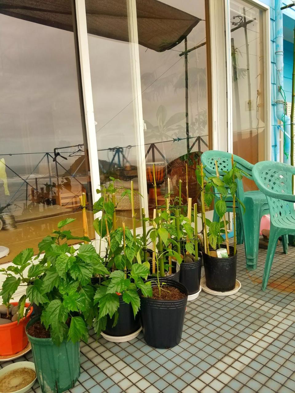 Ocean Home Guest House มิยาซากิ ภายนอก รูปภาพ